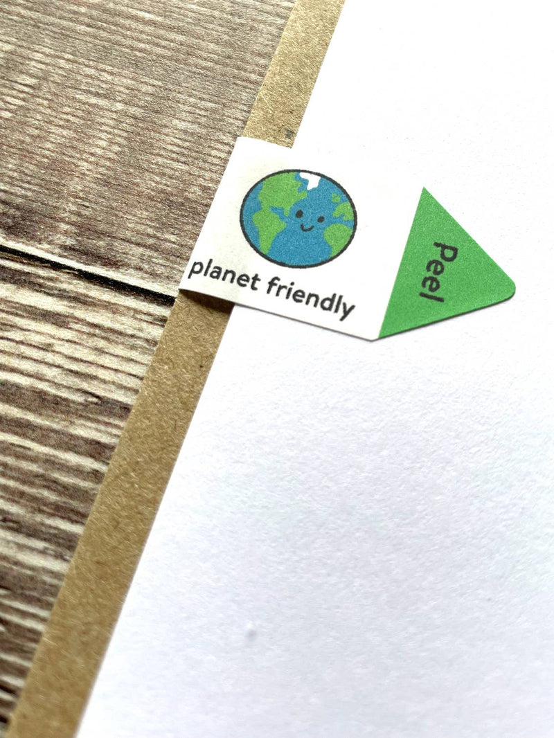Observer Nature Books Greetings Card